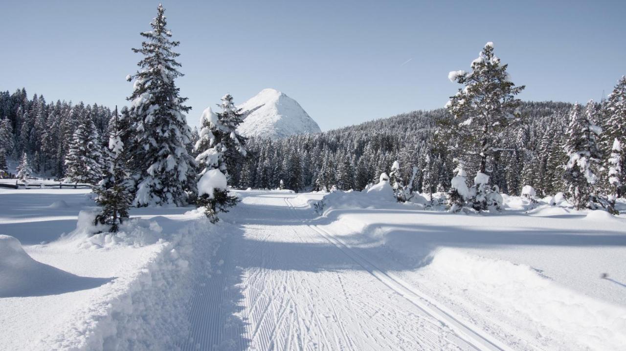Haus Excelsior Top 29 Seefeld in Tirol Buitenkant foto